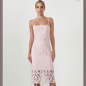 Delicate Lace Bardot Rose Dress
